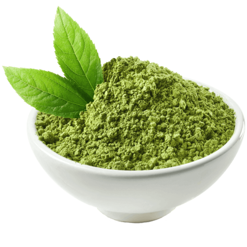 green tea matcha